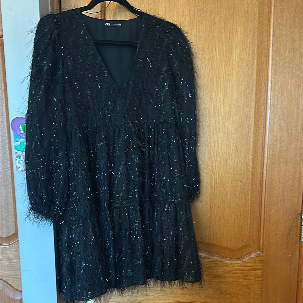 Zara Black Sequin Feather Dress